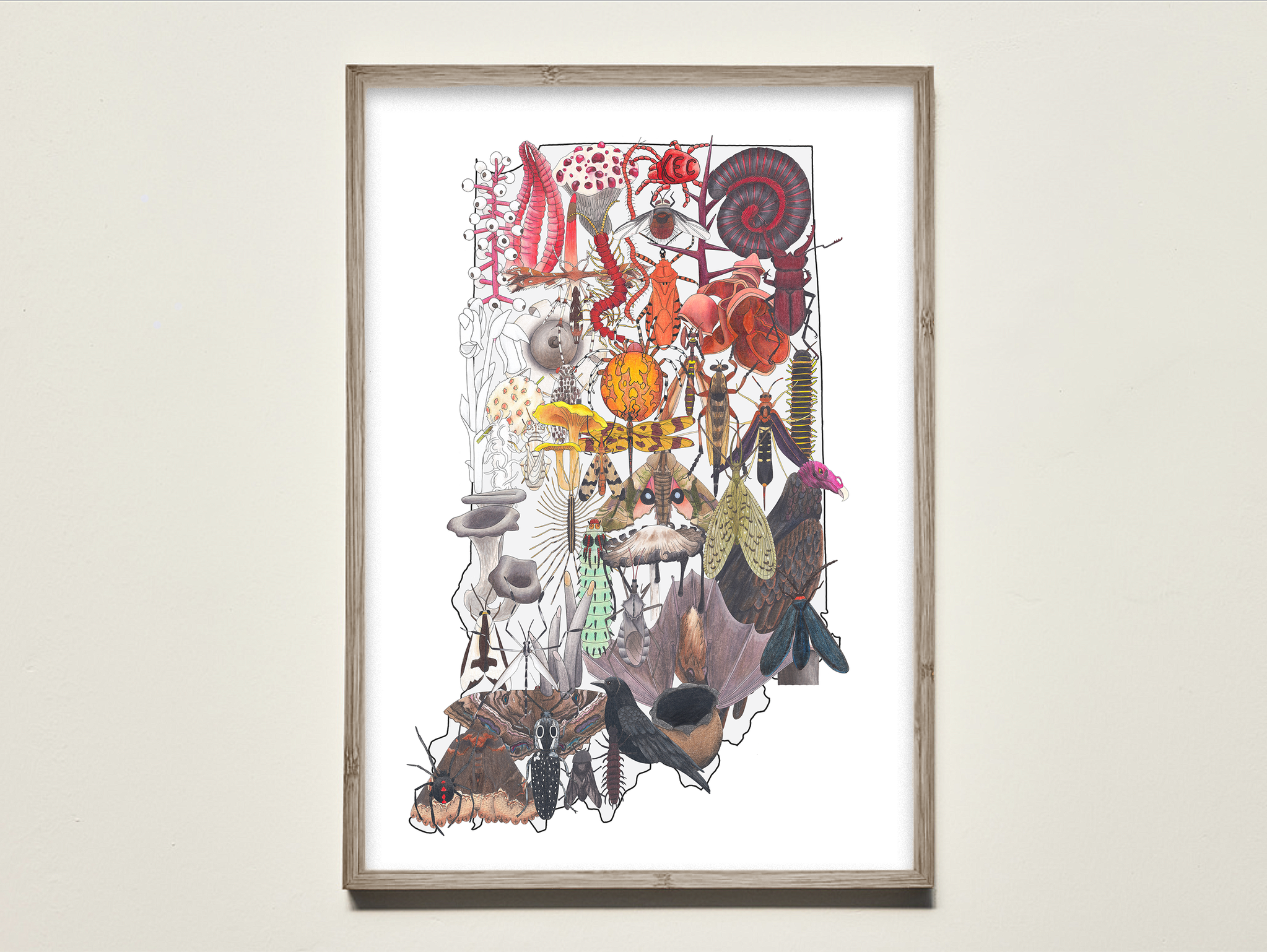creepy indiana print