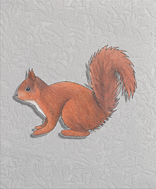 red squirrel