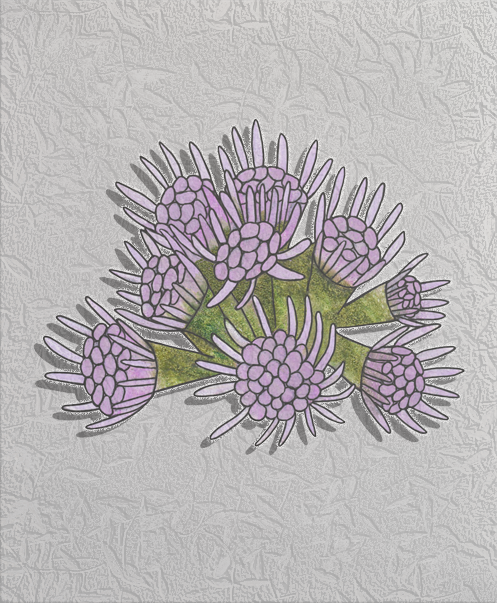 blue mistflower