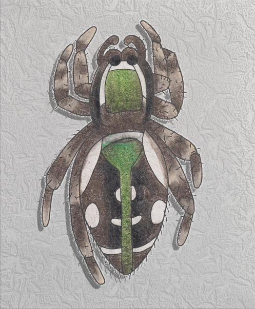 emerald jumper
