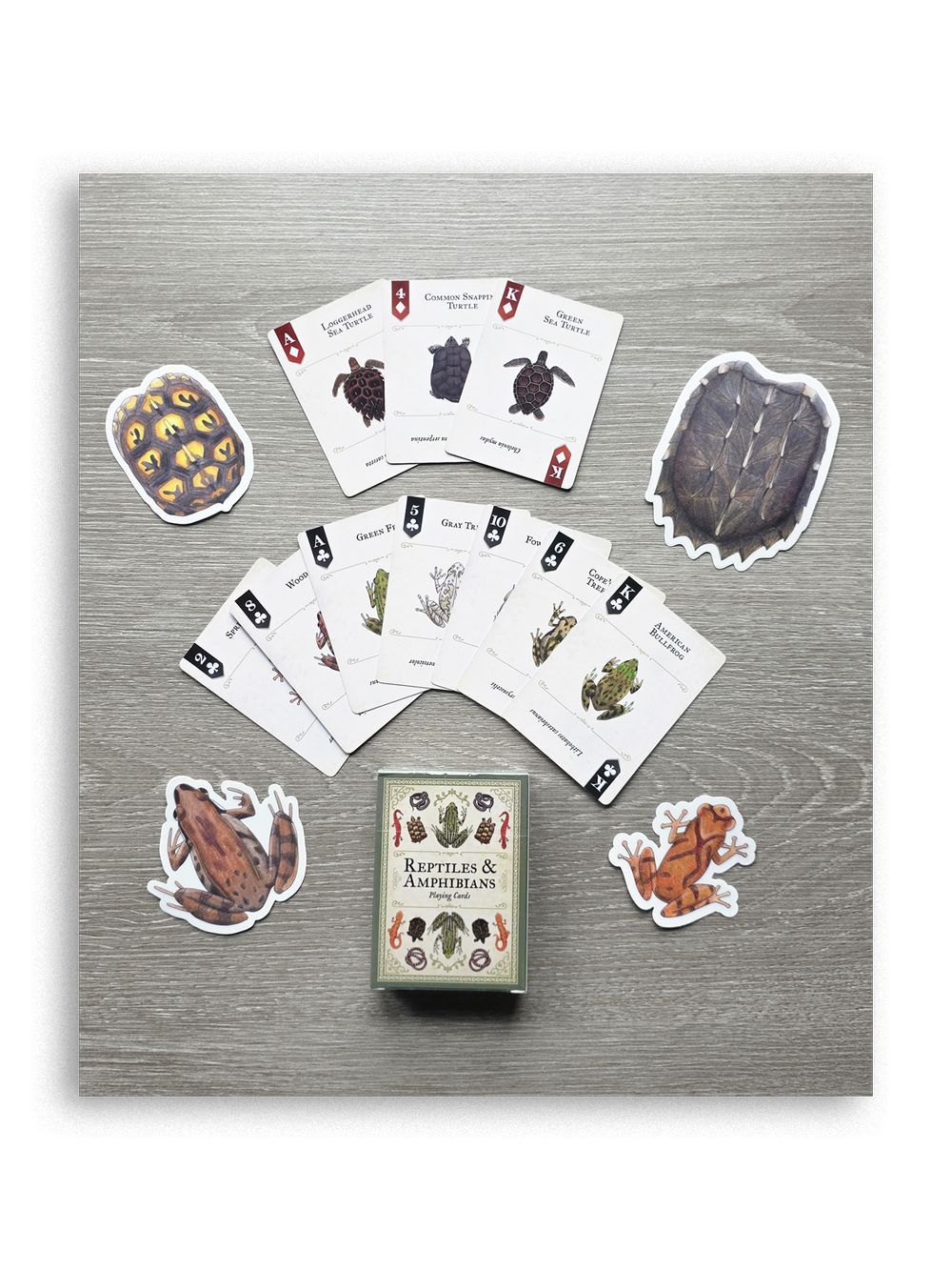 Artist-Signed Snakes & Amphibian Playing Cards — melbry//arts