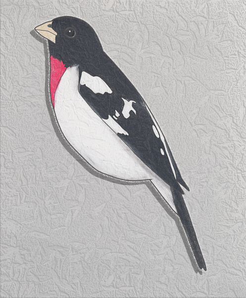 rose-breasted grosbeak