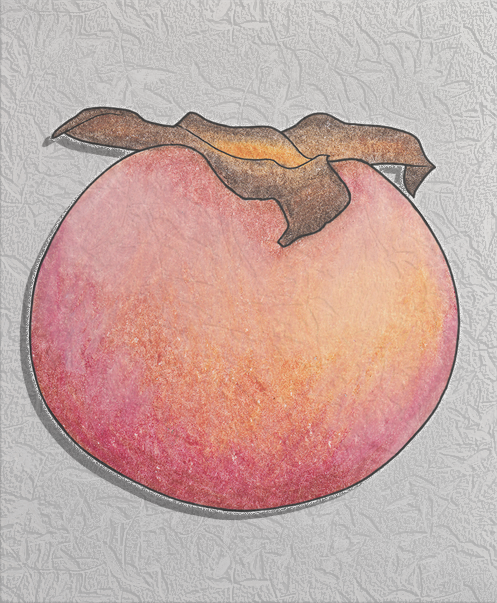 persimmon