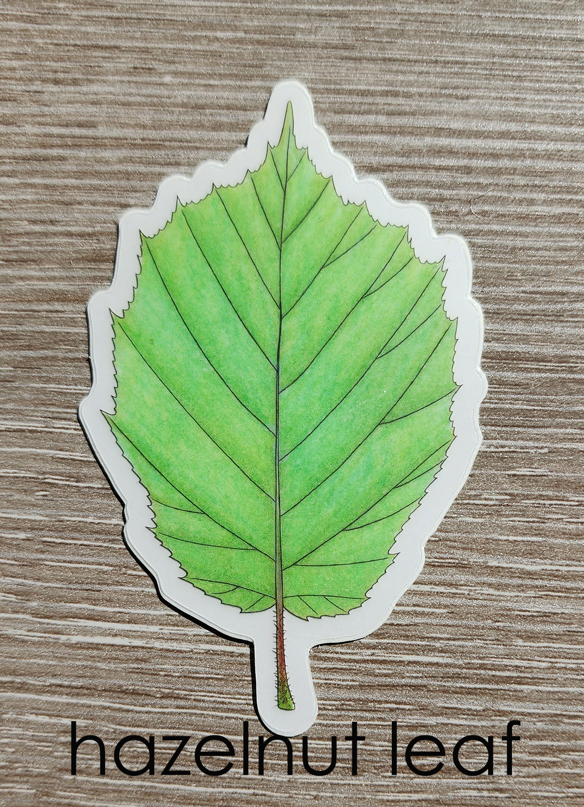 hazelnutleaf.png