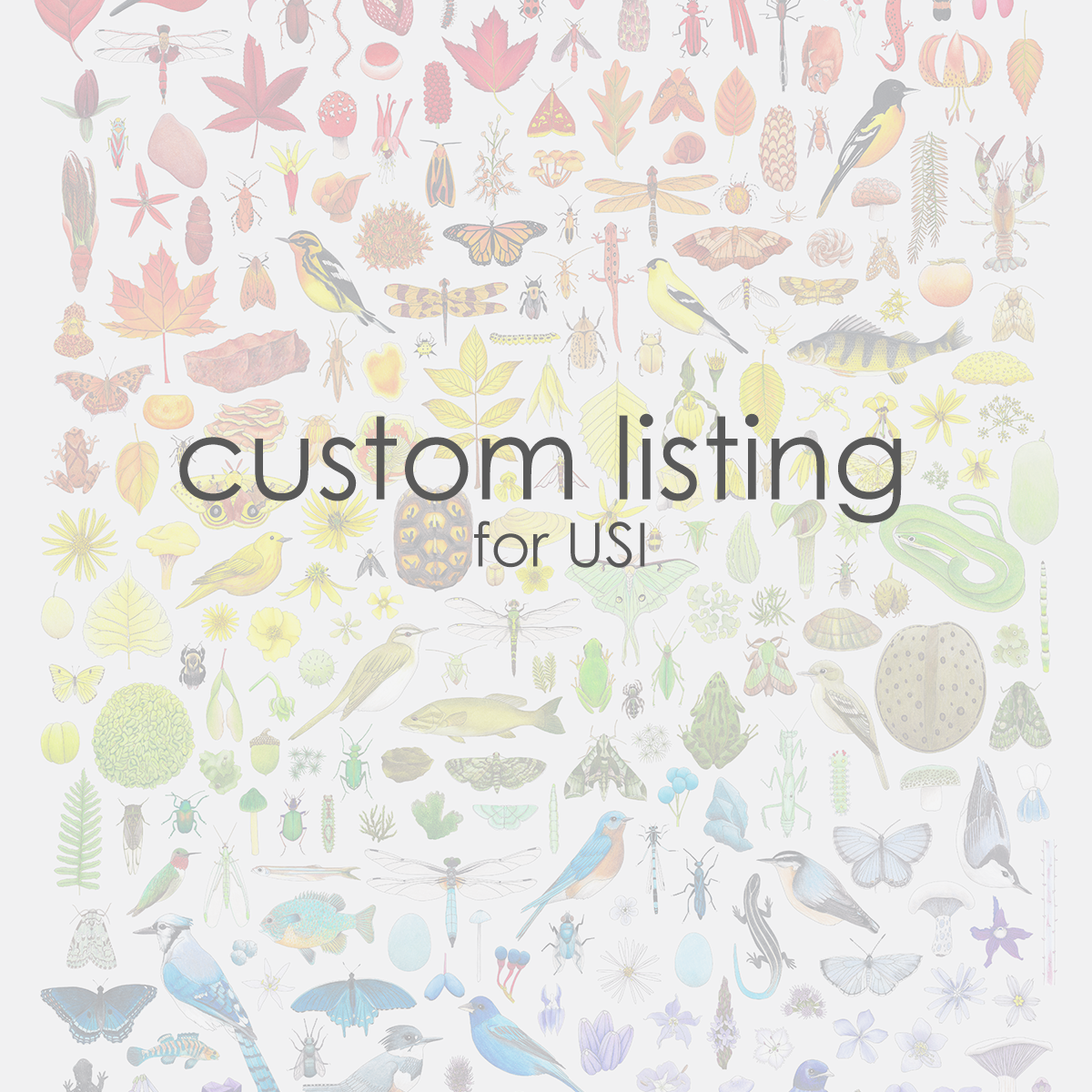 custom listing 2