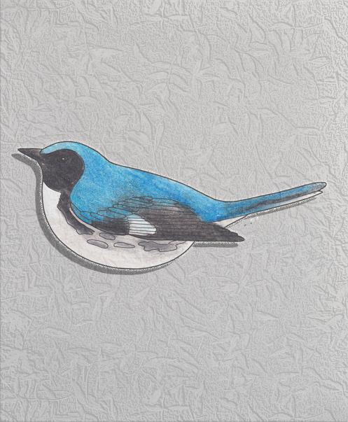 black-throated blue warbler
