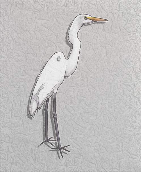 great egret.png