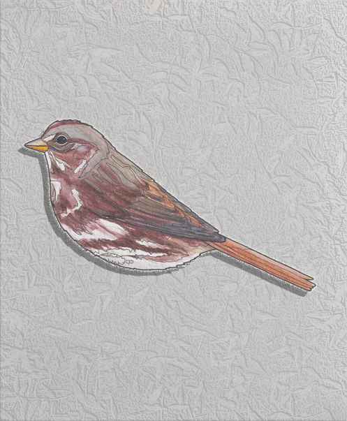 fox sparrow.png