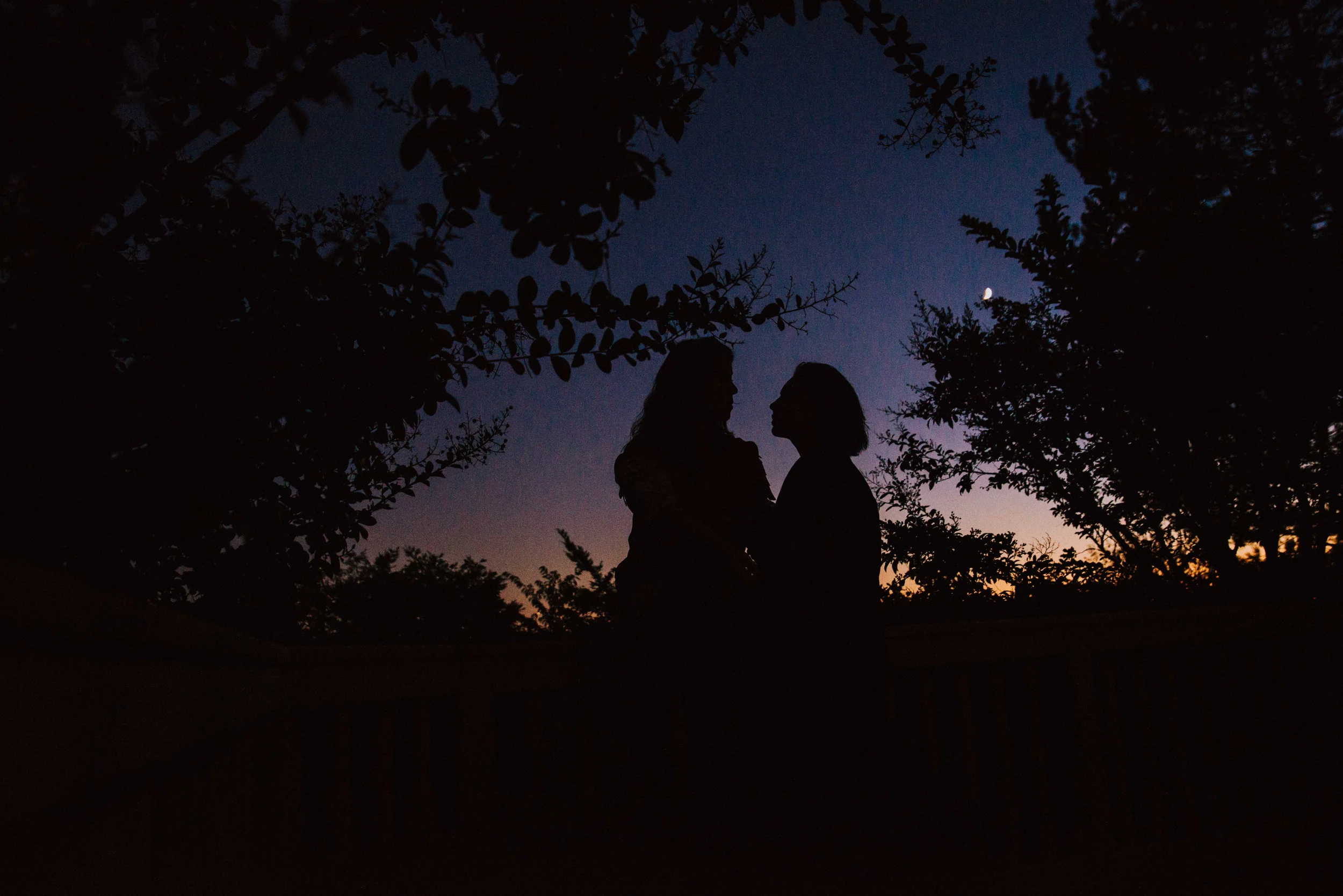 untitled-0384.jpg