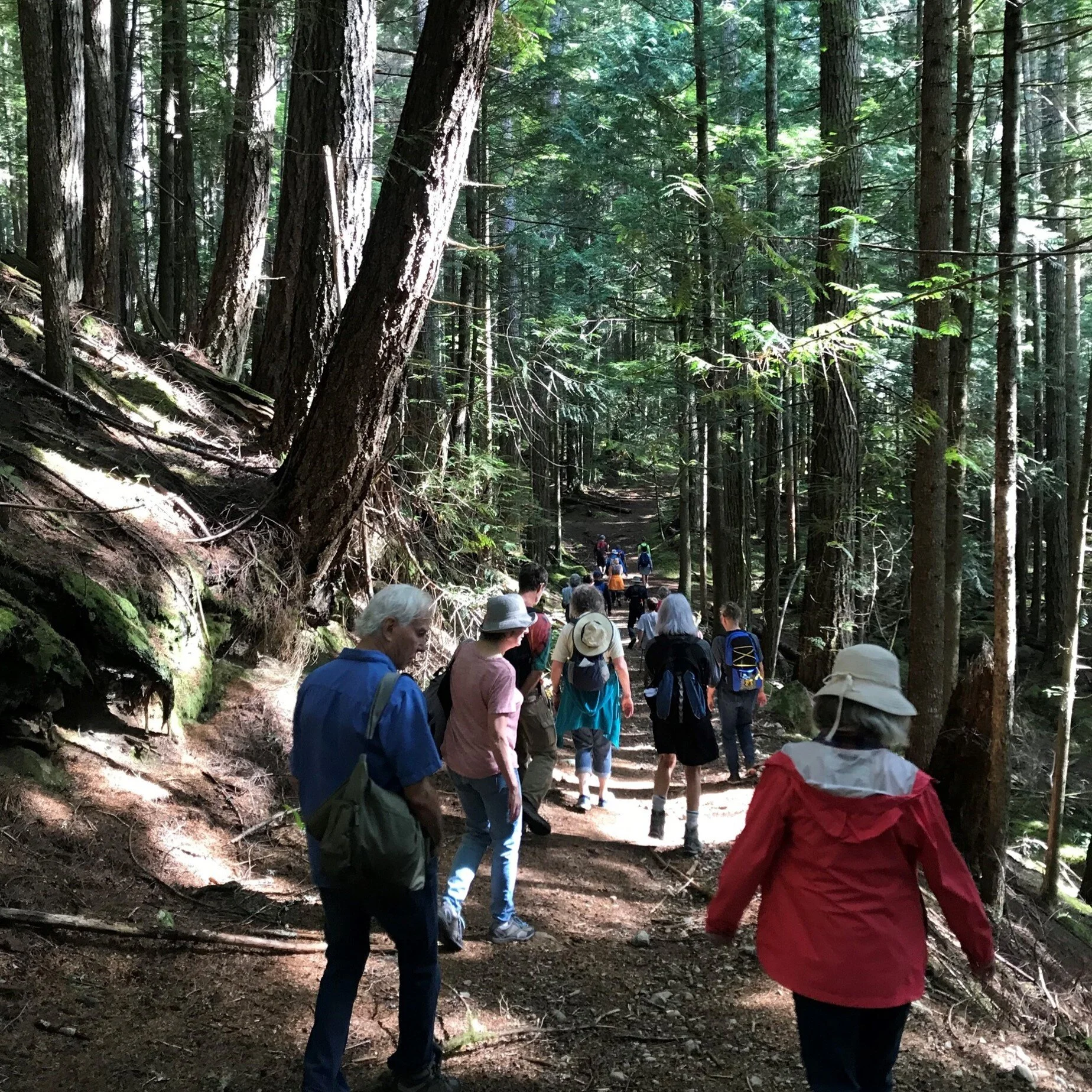 Endangered Forests Guided Tours — Living Forest Institute