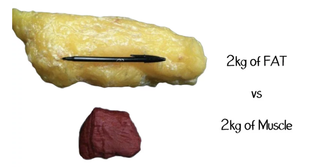 Screen Shot 2019-06-30 at 7.47.59 pm.png