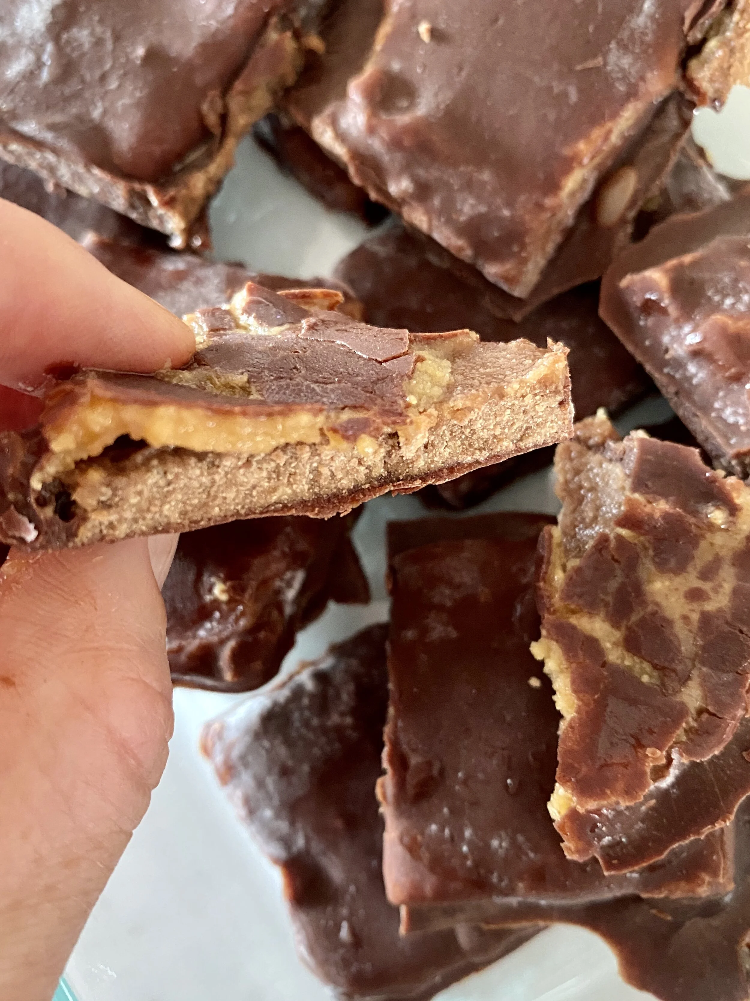 Raw Chocolate Vegan Slice feat True Protein