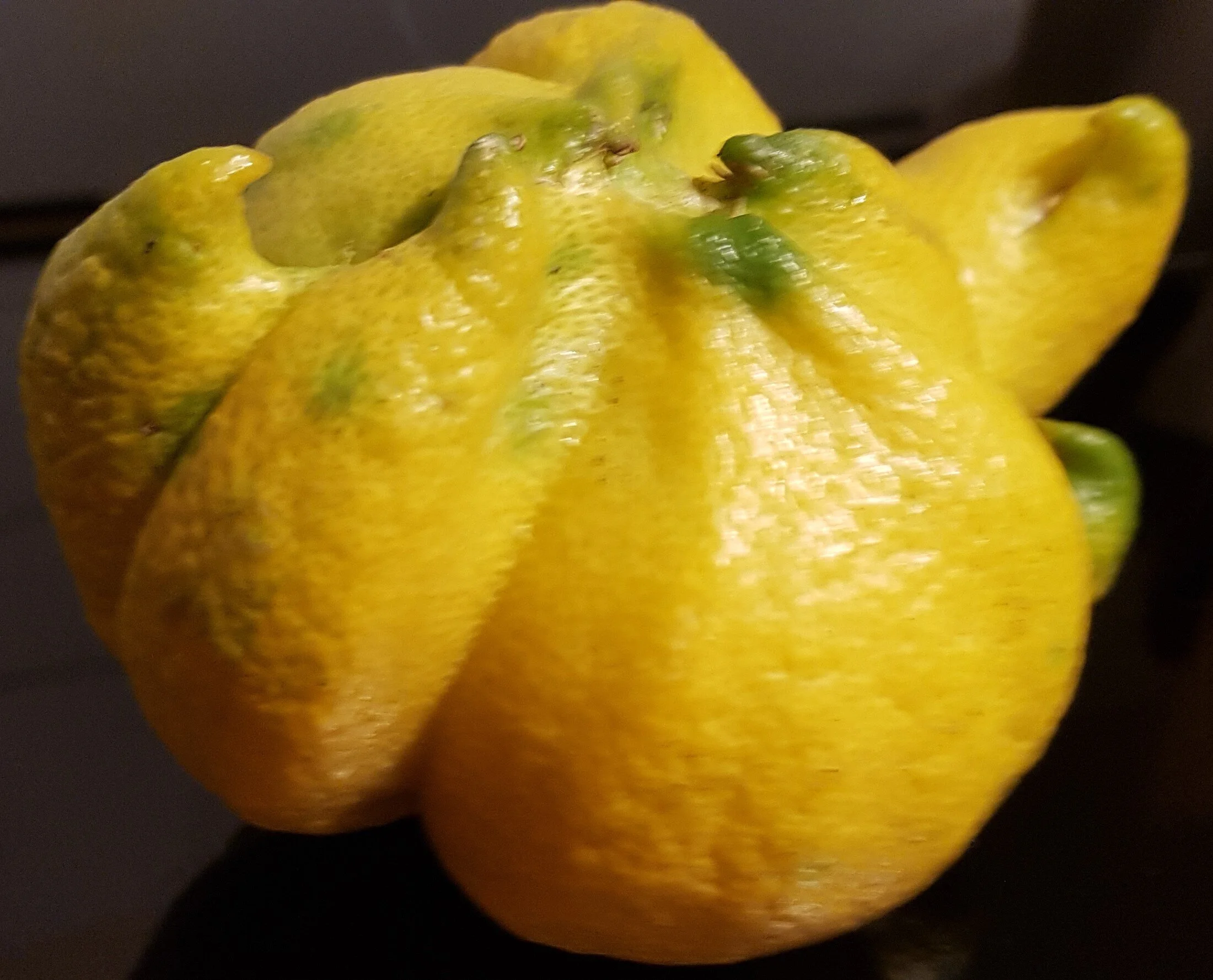 POST 15: This too is a lemon!!!
