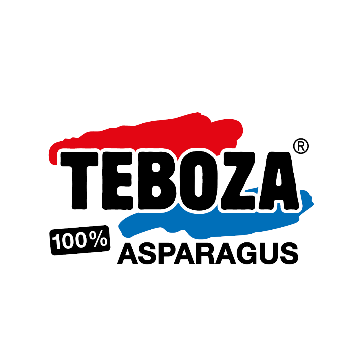 Logo_300x300px_Teboza.png