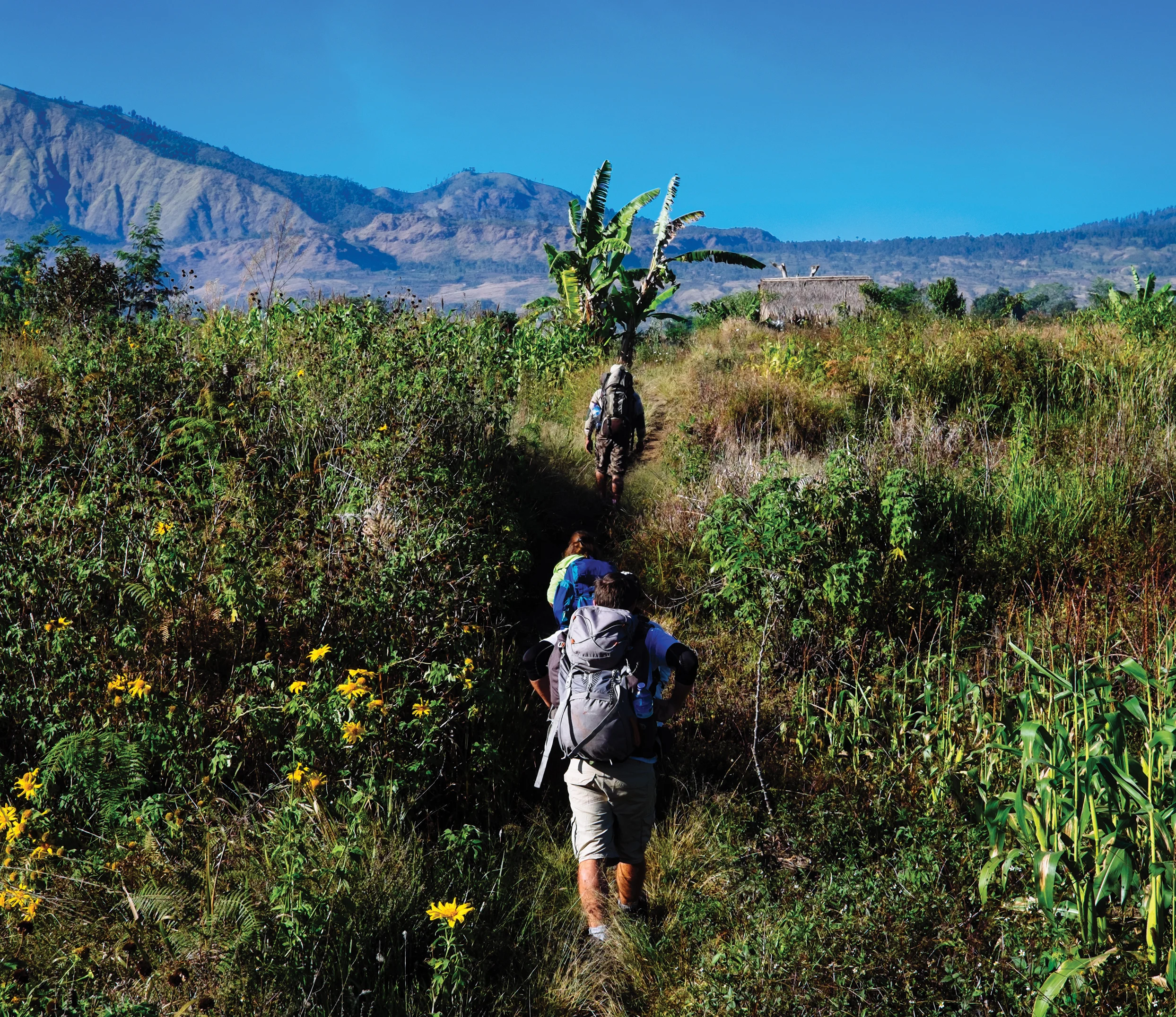 21cmx30cm - 2 RGB.jpg