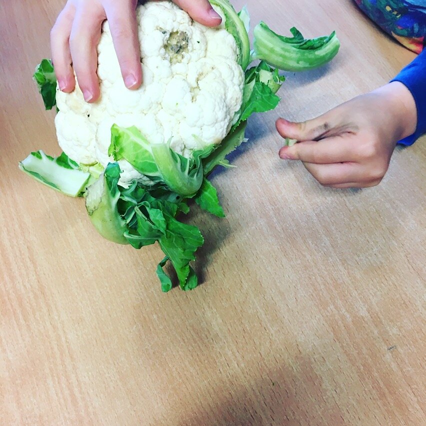 breaking cauliflower cool food school.JPG