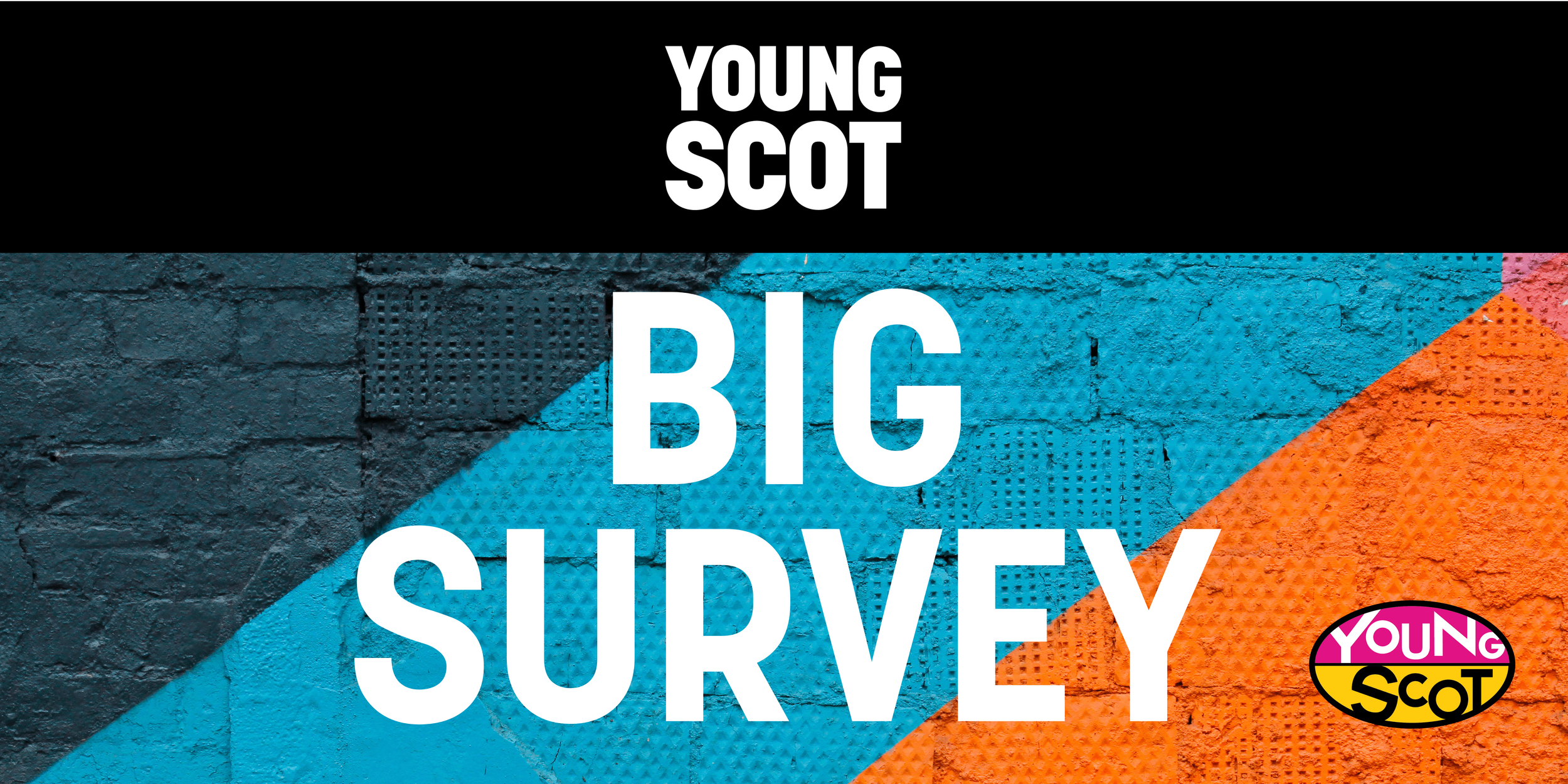 Young people share their views at Big Survey webinar