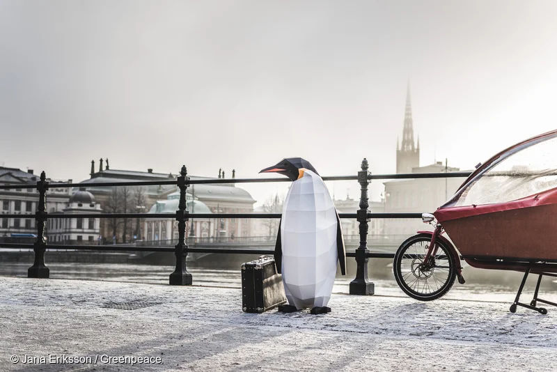 Greenpeace: March of the Penguins Art Direction