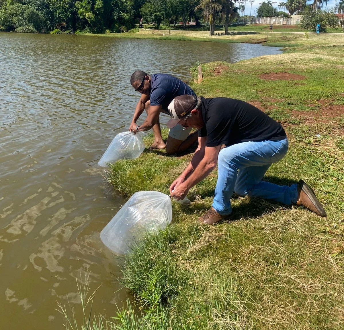 Clube Indaiá realiza soltura de 500 peixes no lago e reforça ações de repovoamento e conscientização ambiental