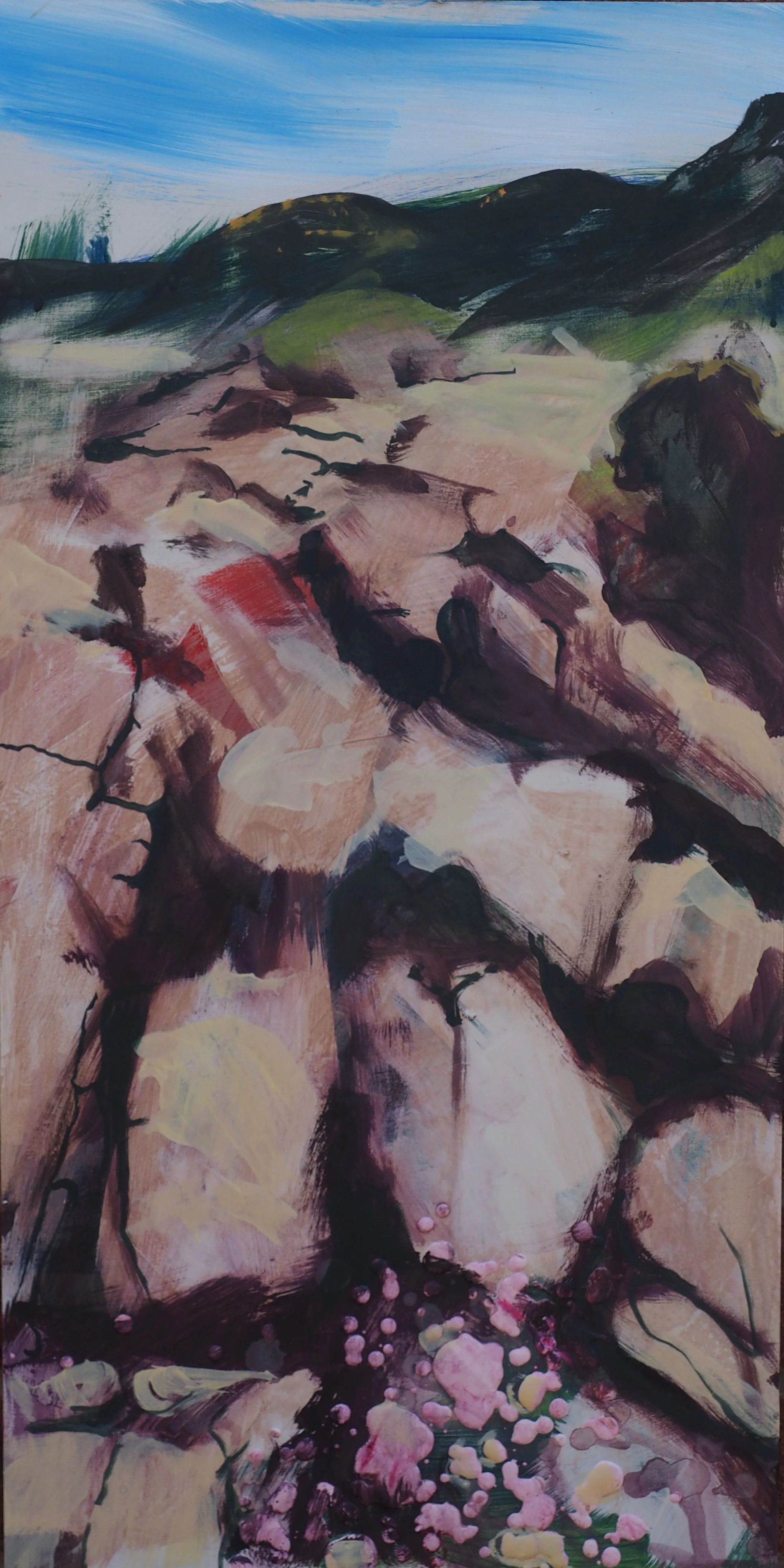 Tarbert Ness, towards Rockfield ( Hidden ).Mixed media on board. 61x30cms