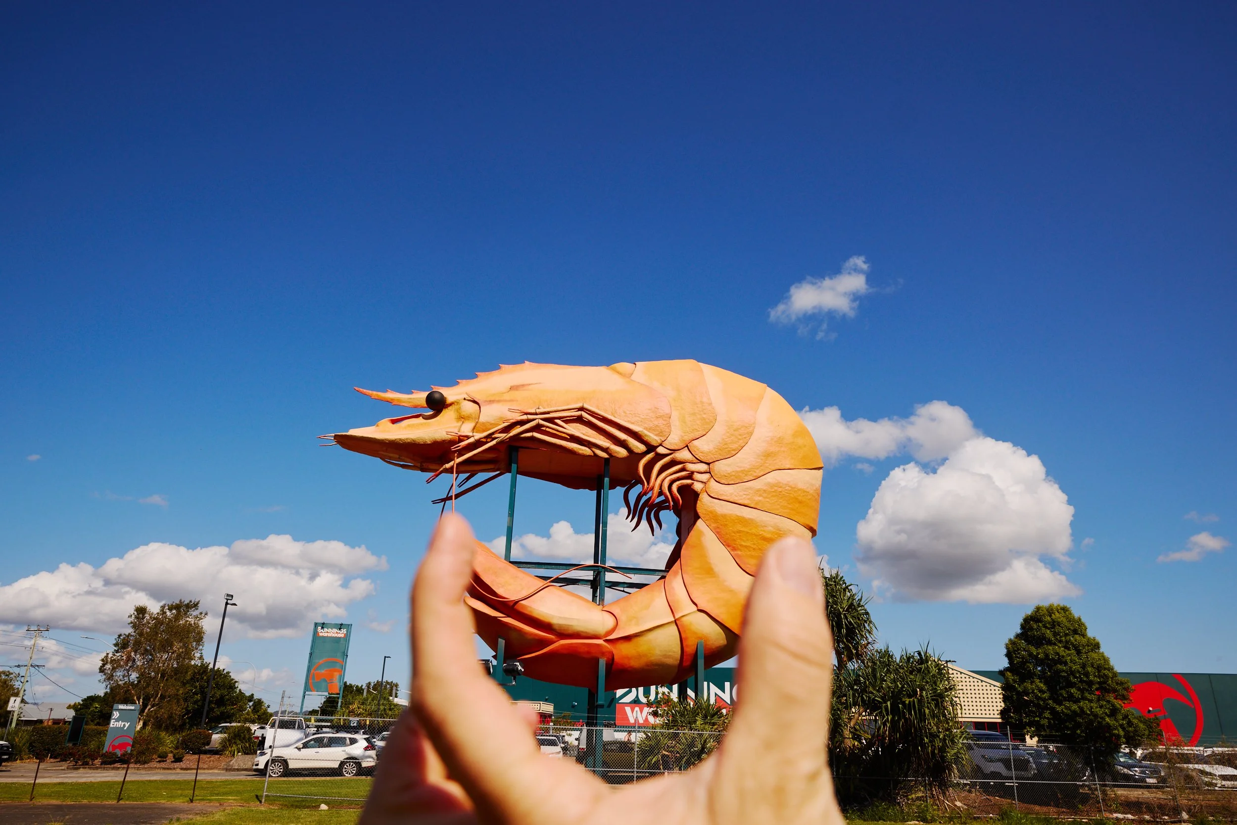 The Big Prawn