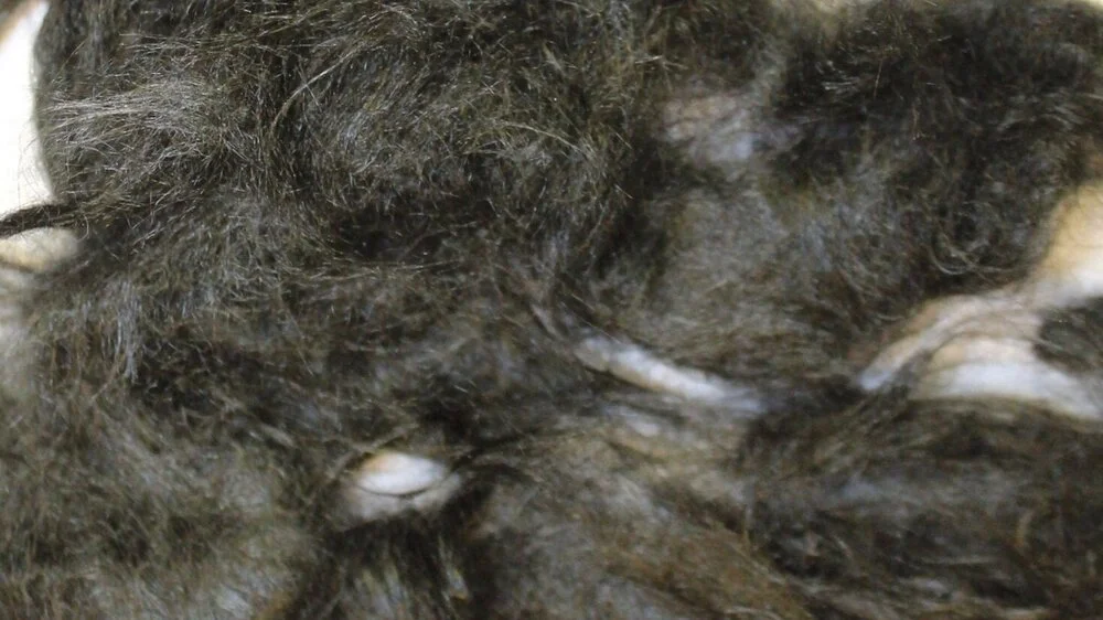 Recycled Aerospace grade Oxidised Pan fibers