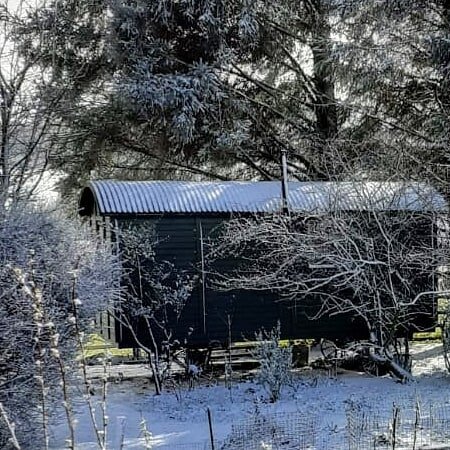 It's nearly time!! 🤩 Thank you to everyone who has booked their stay with us, we're so excited to welcome guests back next week! 
The Hut was looking so cozy nestled in the wood yesterday after a surprise flurry!! ❄️We can't wait to share it with yo