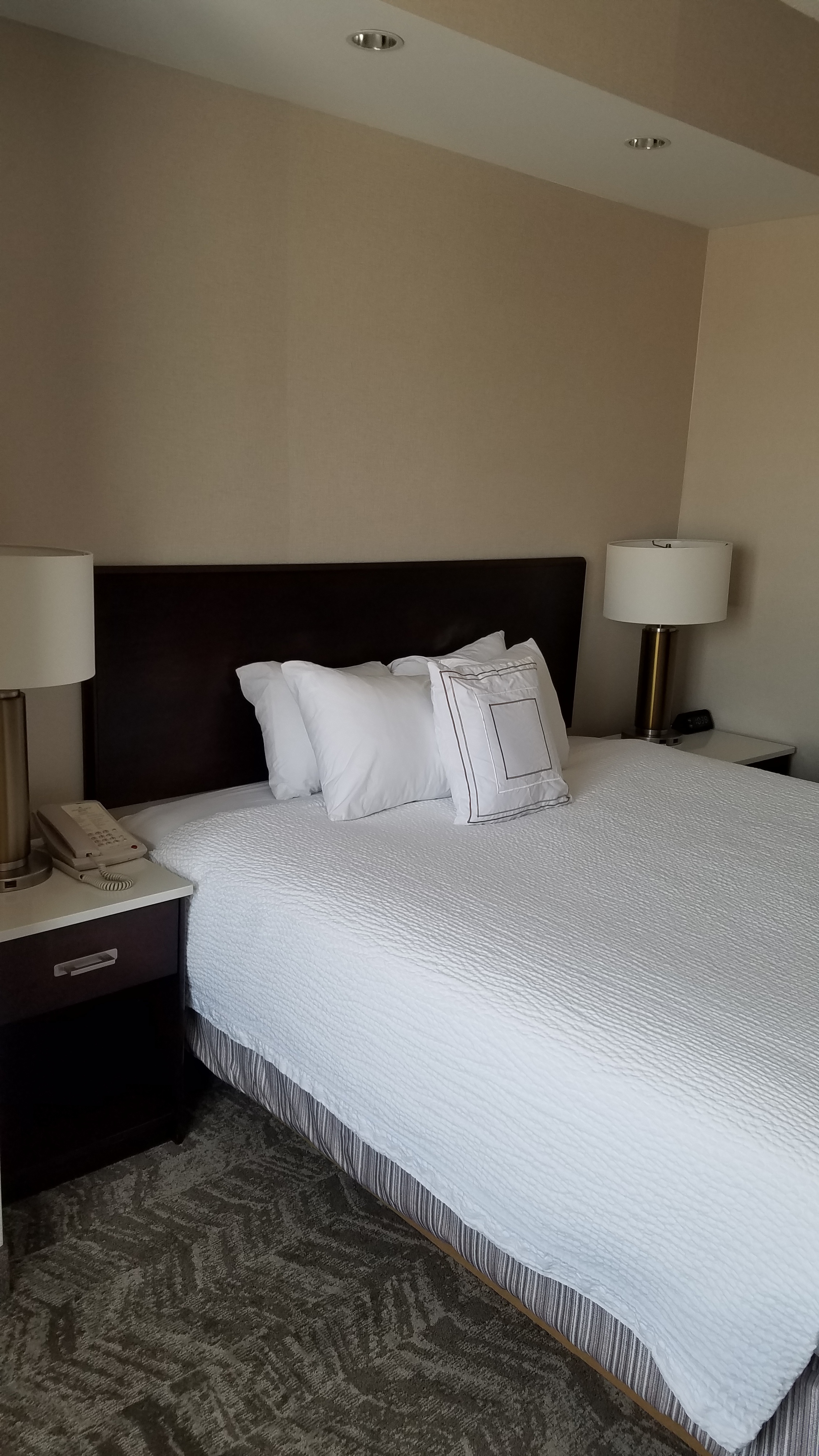 springhill suites renovation