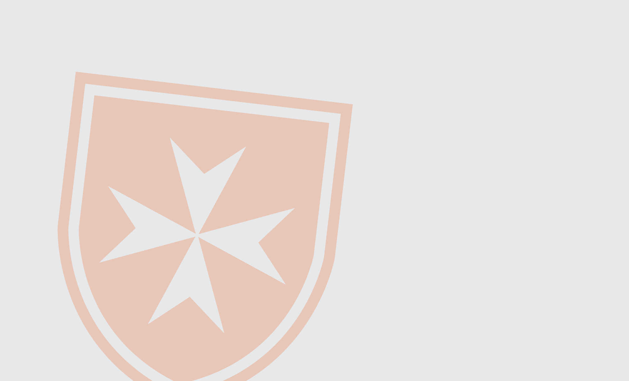 Shield 2-min.png