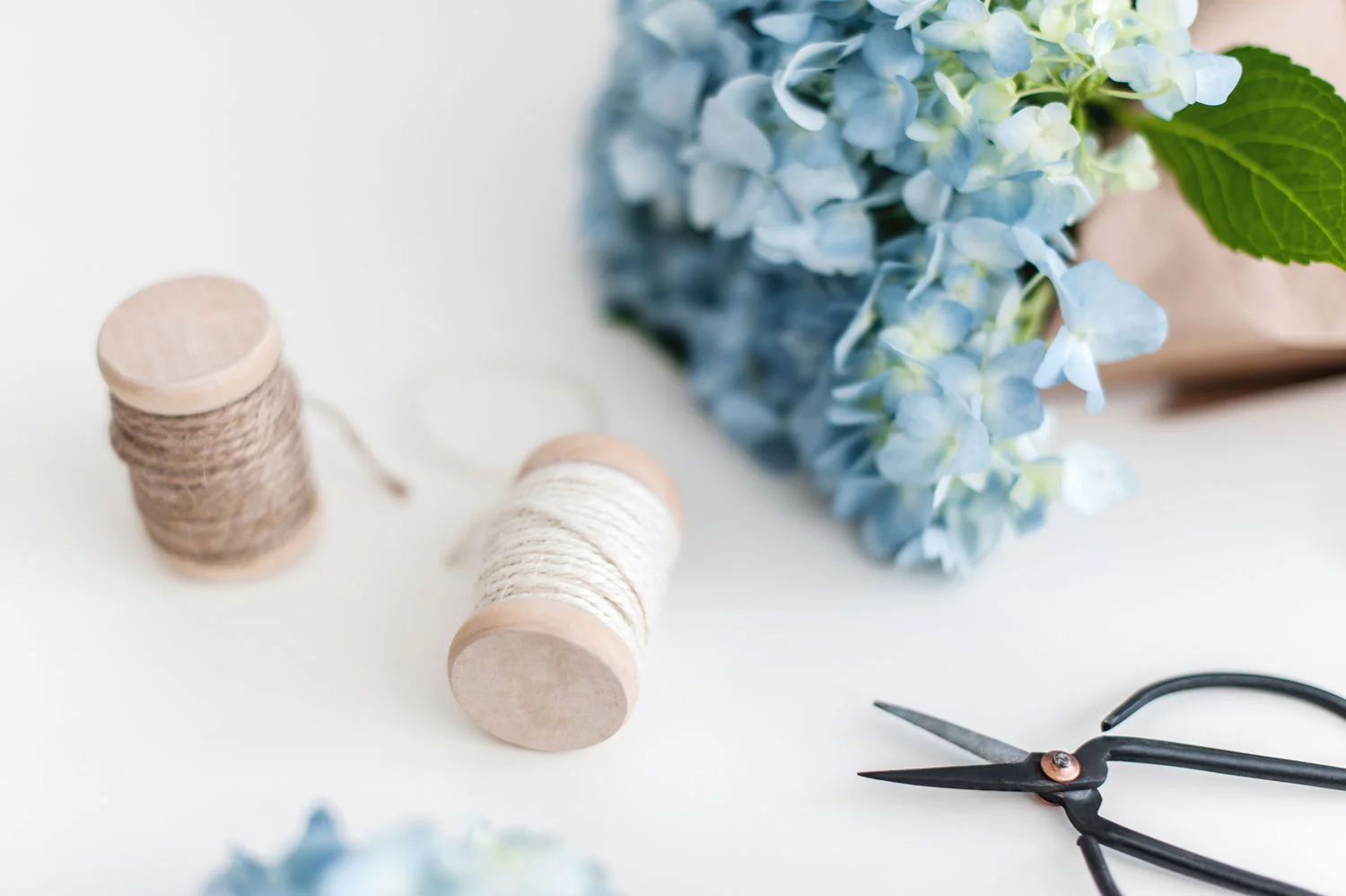 Lorem ipsum dolor sit