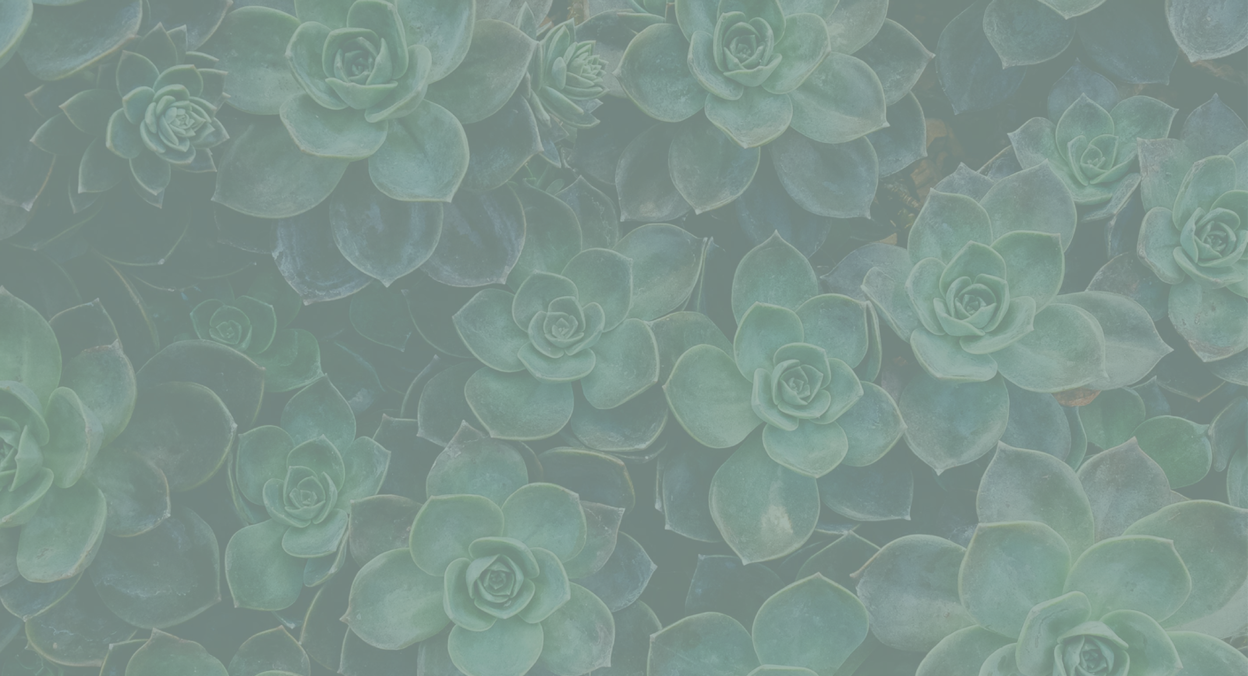 SucculentBackground.png
