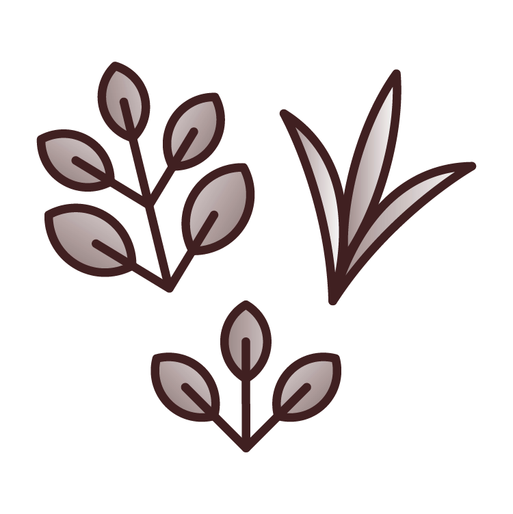 Stylized illustration of plants, including grass blades and leaves in shades of brown and gray.