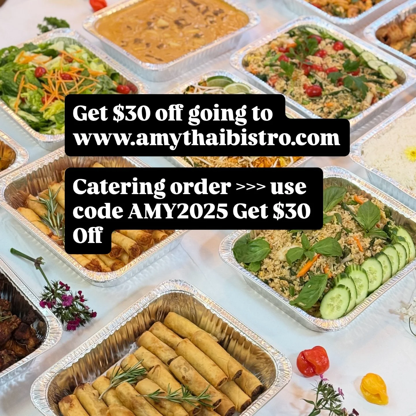 Get $30 off going to www.amythaibistro.com 

Catering order >>> use code : AMY2025  Get $30 Off  Easy step just going  to 
WWW.AMYTHAIBISTRO.COM
Address 545 FLATBUSH AVE, BROOKLYN, NY 11225
Call 718~462~1555
🎆🇺🇸✨ 🏠@amythaibistrobk