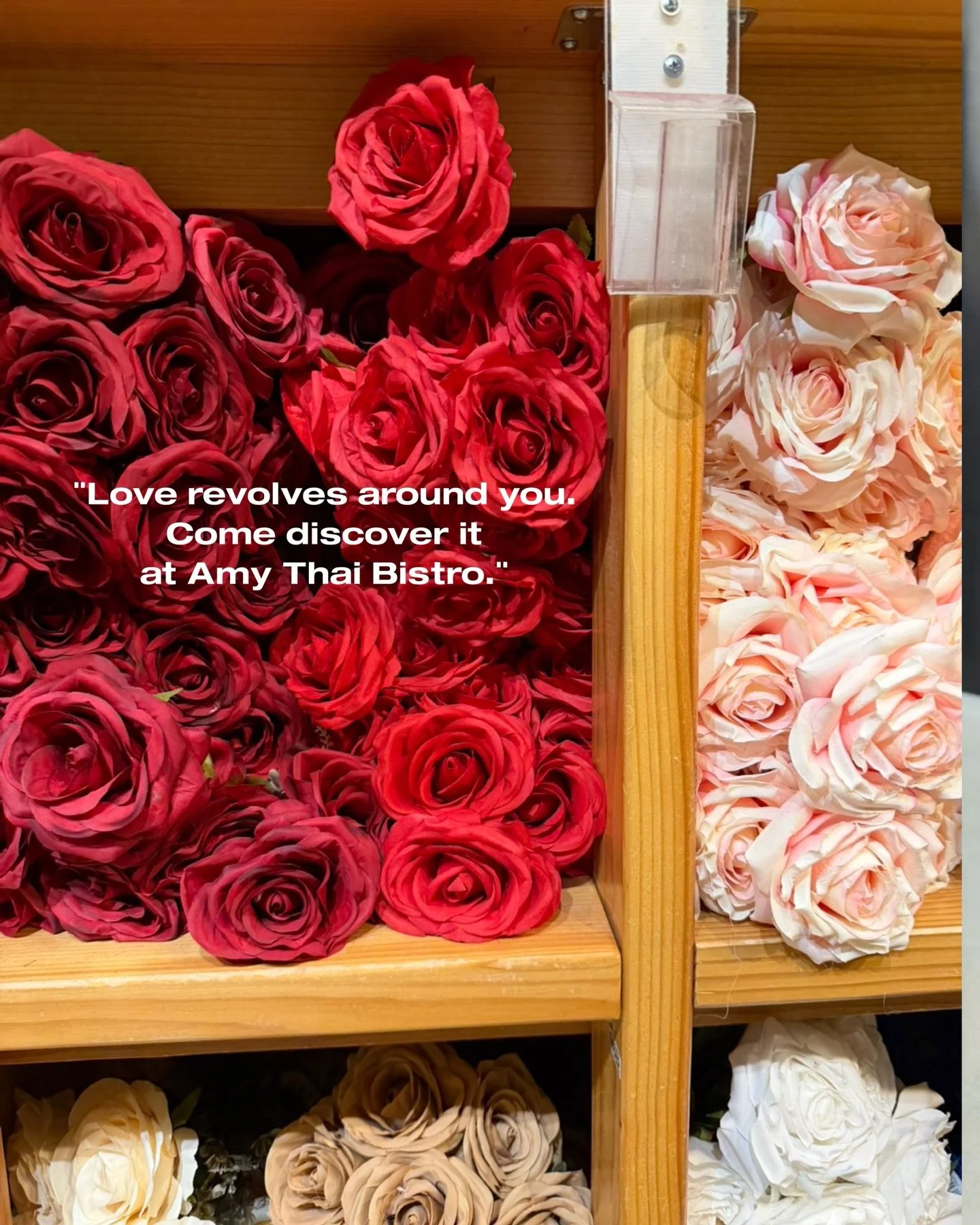 &ldquo;Love revolves around you. Come discover it at Amy Thai Bistro.&rdquo;) Dinner with Amy sux2bkylie abby.so._swaggy @anna.lolol1 bells4sean @anna.c0ndaa_ @amythaibistrobk 

WWW.AMYTHAIBISTRO.COM
Address: 545 FLATBUSH AVE, BROOKLYN, NY 11225
Call