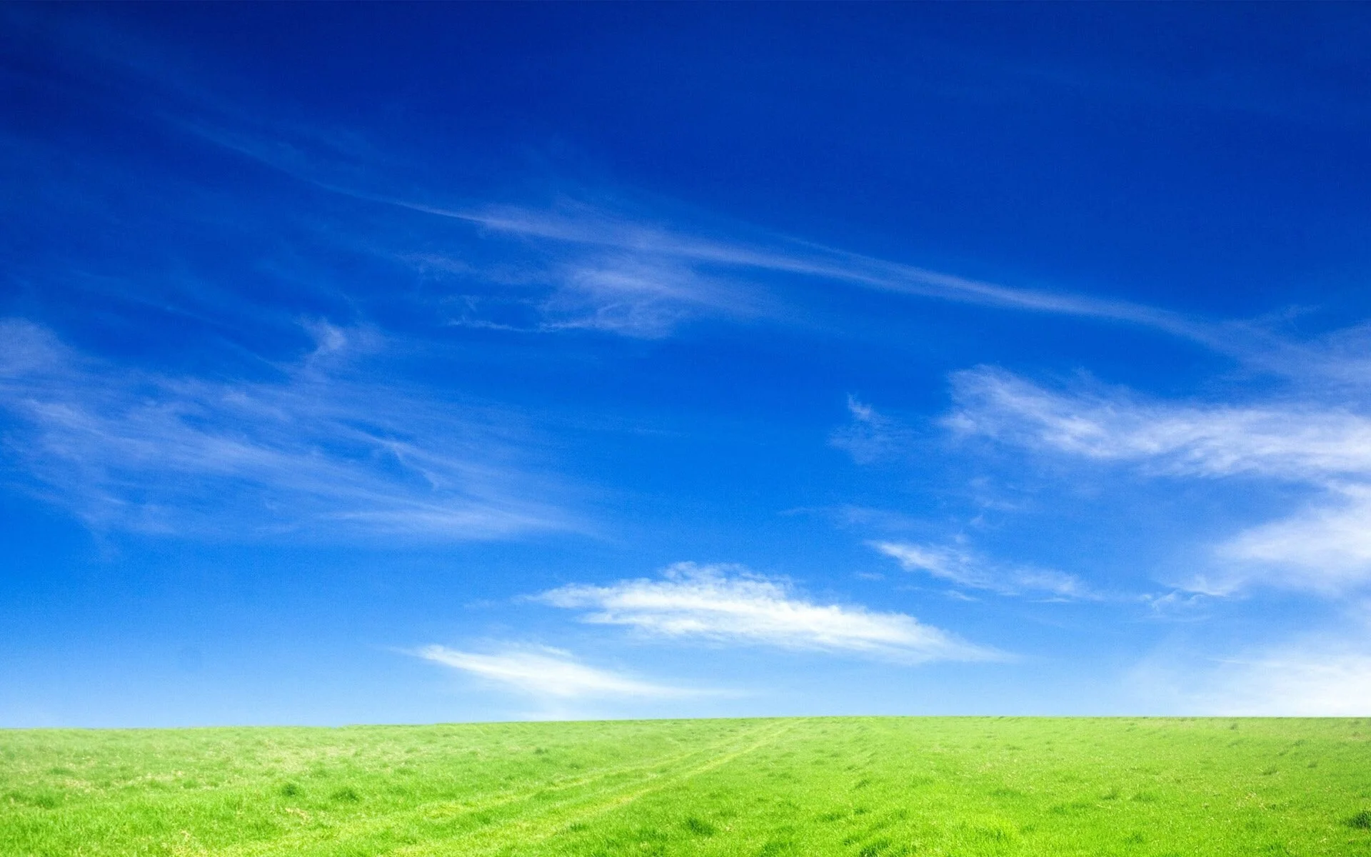 Bio Fuels - What Are They?