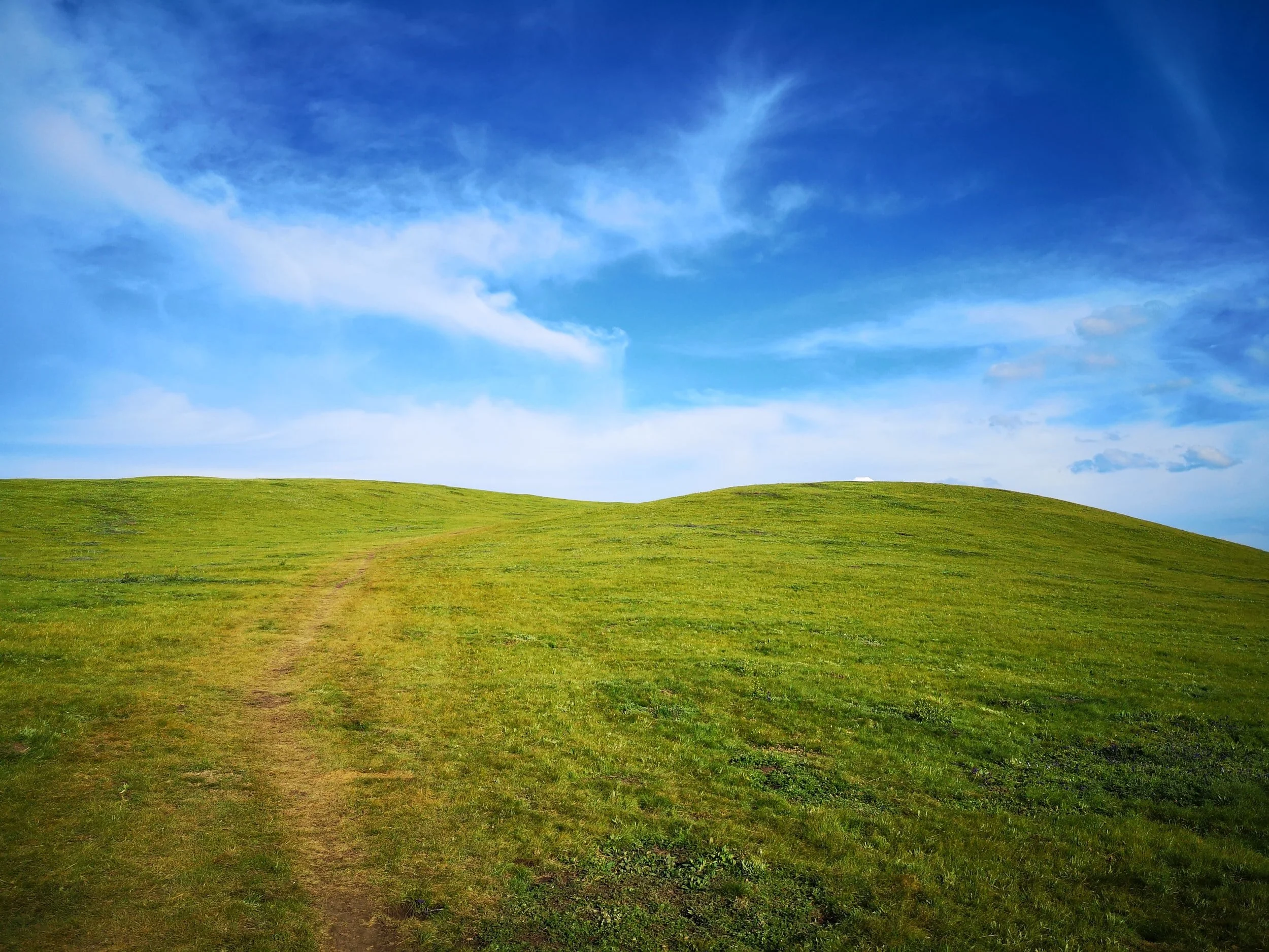 Why It Is Essential For Your Business To Become More Sustainable