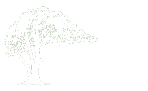 Bonifant Tree Service