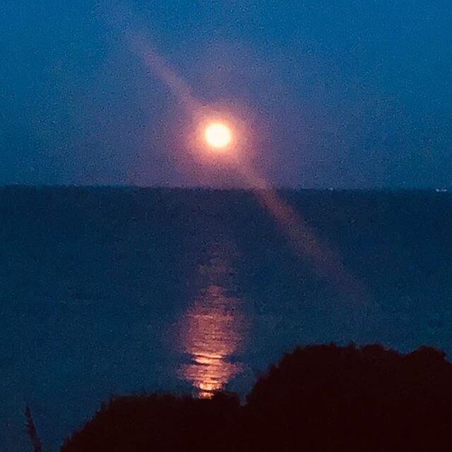 Another amazing moon tonight!