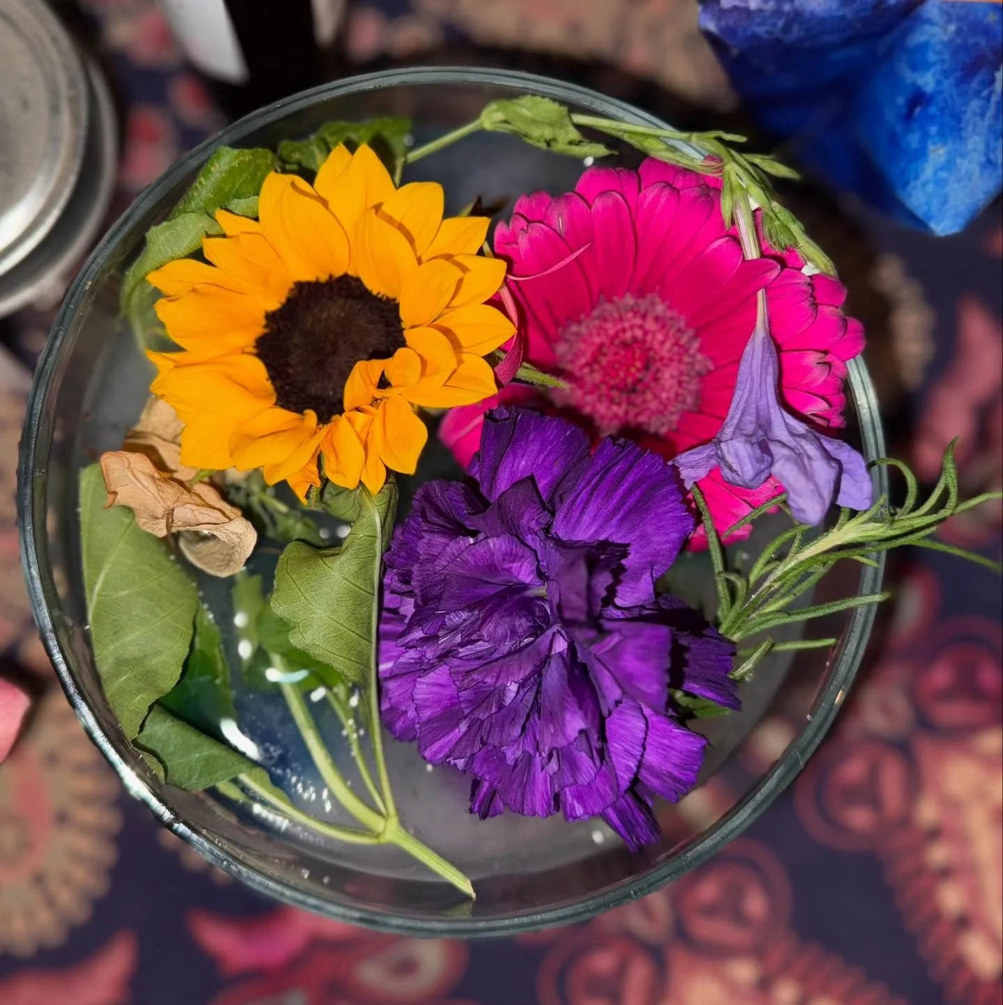 Tonight we gathered the Sunday following a Cancer Season Full Moon in Capricorn, to be in the waves, the turbulence, and all that is flowing through us. We held each other in community and released through watery ritual, what no longer serves…