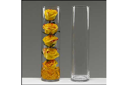 14 x 3.5 Cylinder Vase | $4