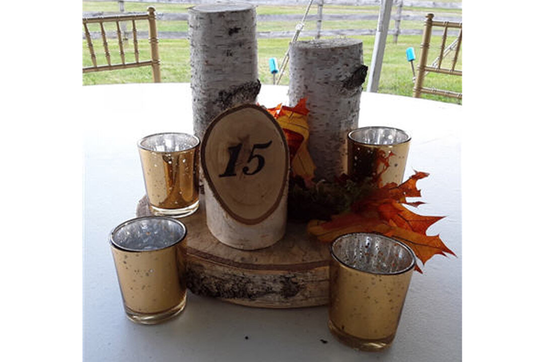 White Birch Table Numbers | $1
