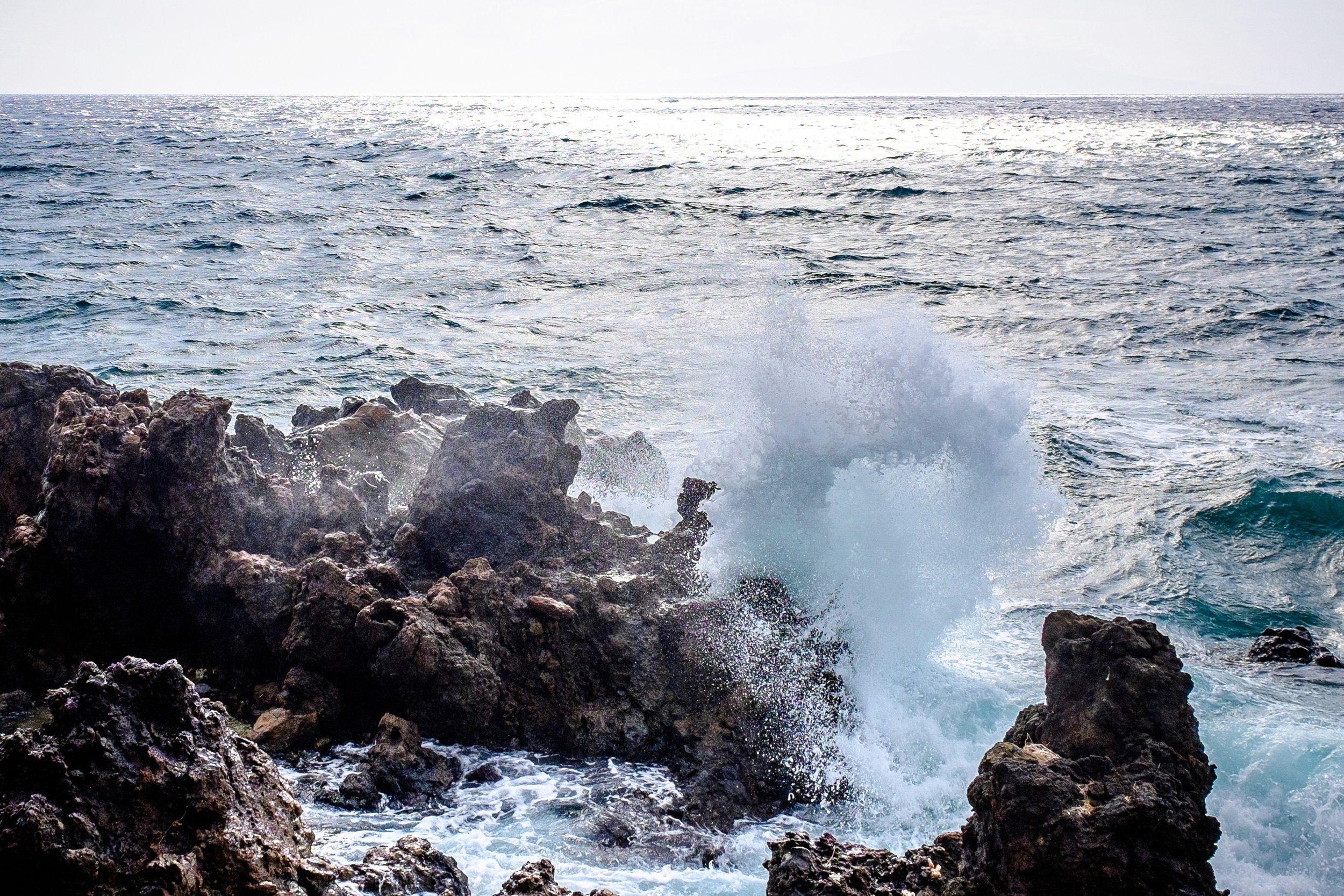 maui.jpg