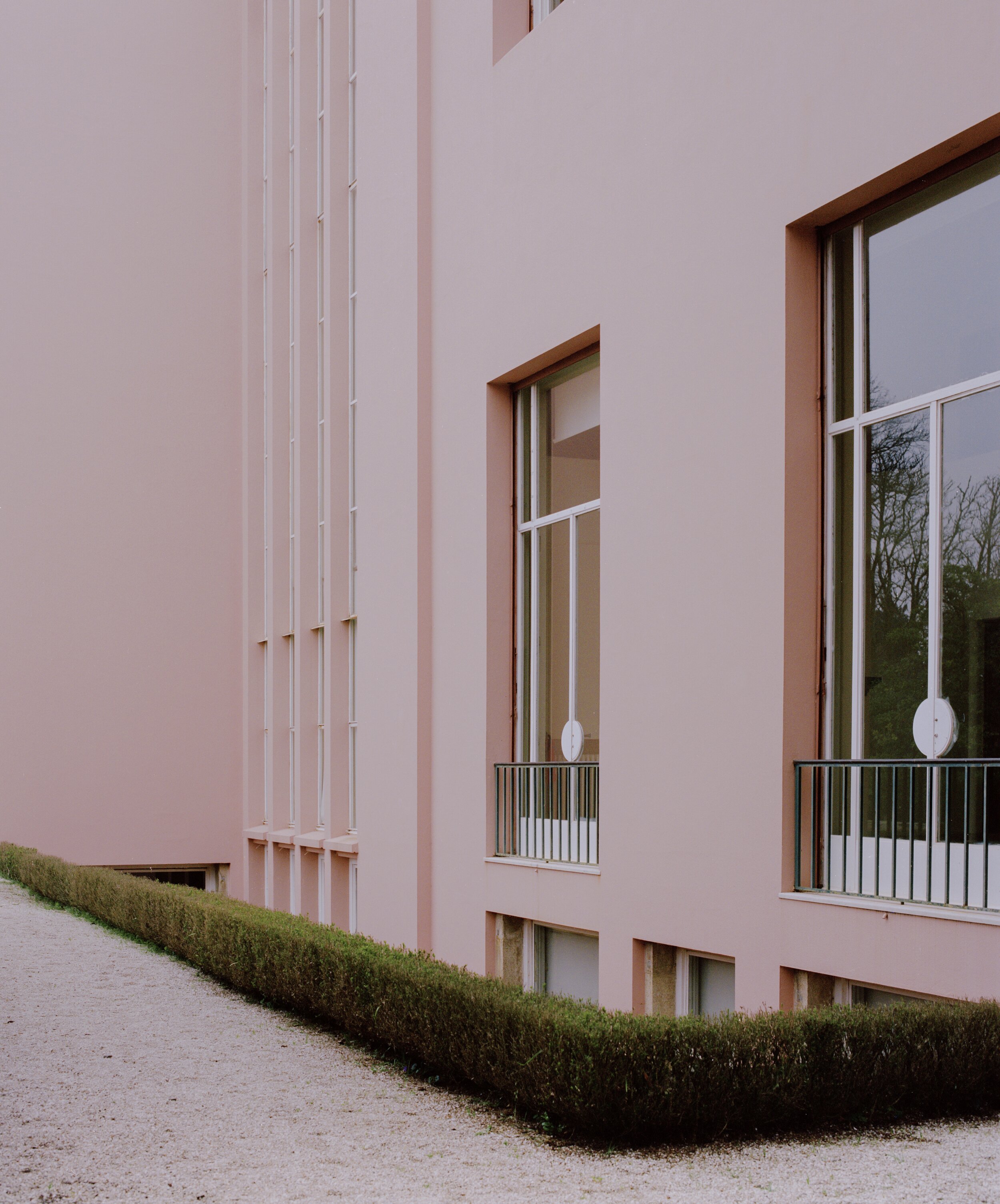 Parque de Serralves, 2020