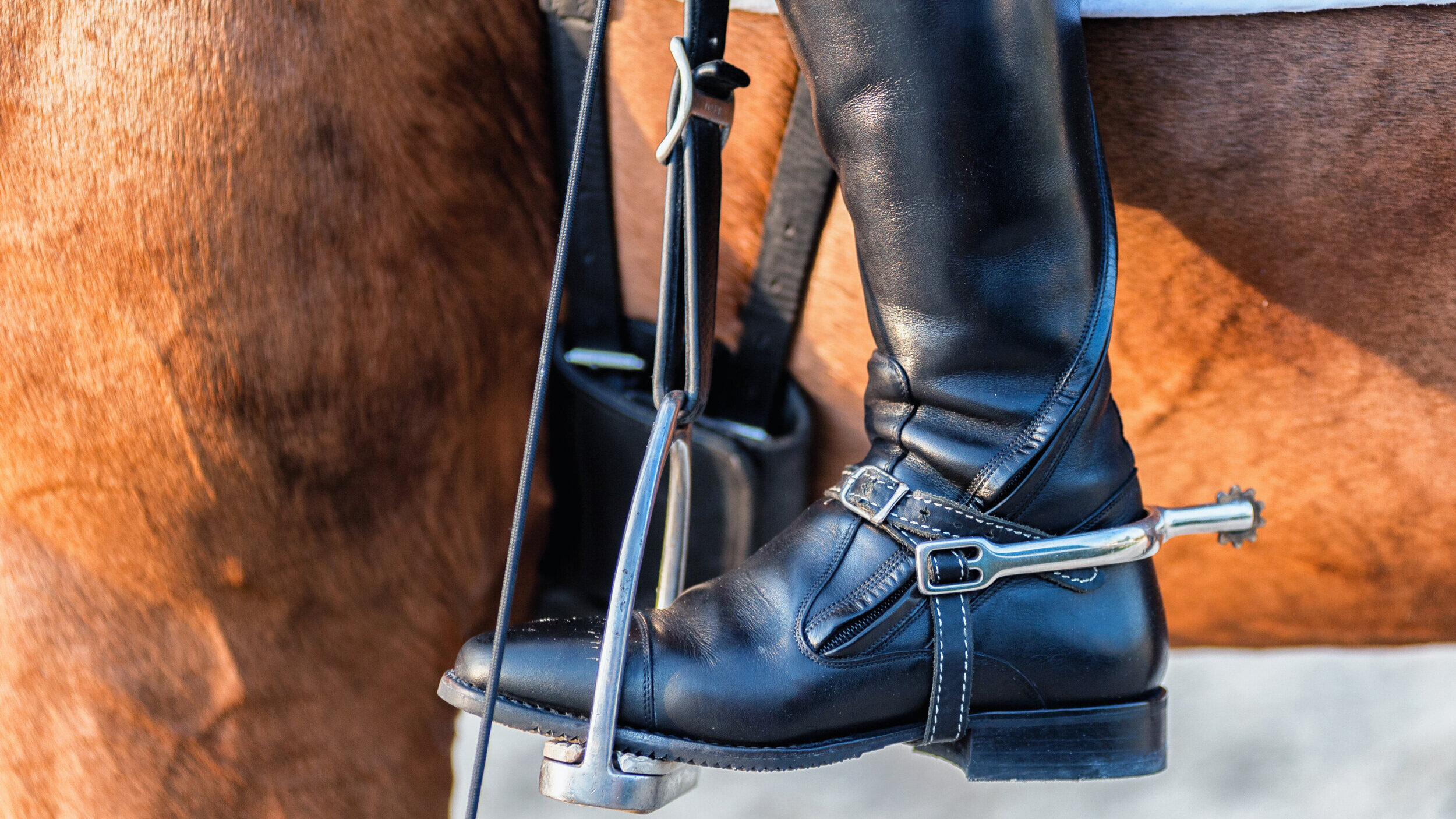 Equestrian — Talaria Leathercraft