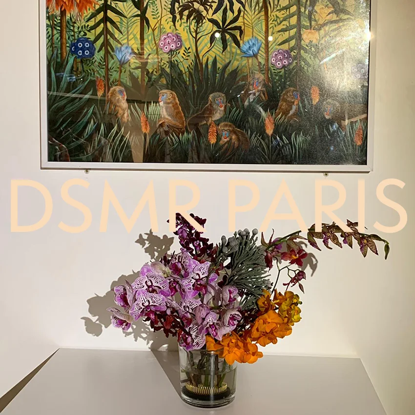 dsmr.jpg