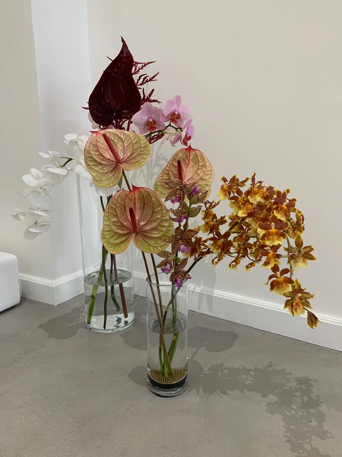 WhatsApp Image 2019-07-07 at 20.34.15.jpeg