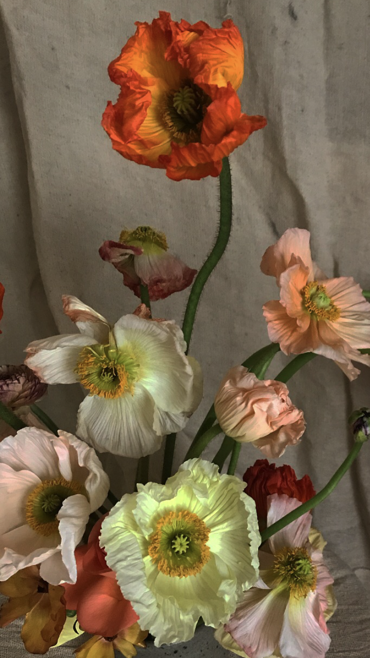 IMG_6119.png