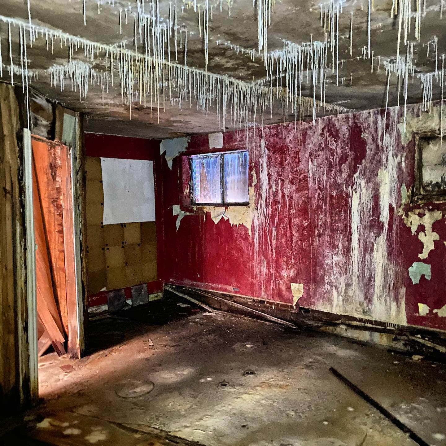 Deferred maintenance of old buildings often creates some of the most interesting spaces!  Unfortunately this one may be beyond repair but check out that ceiling!