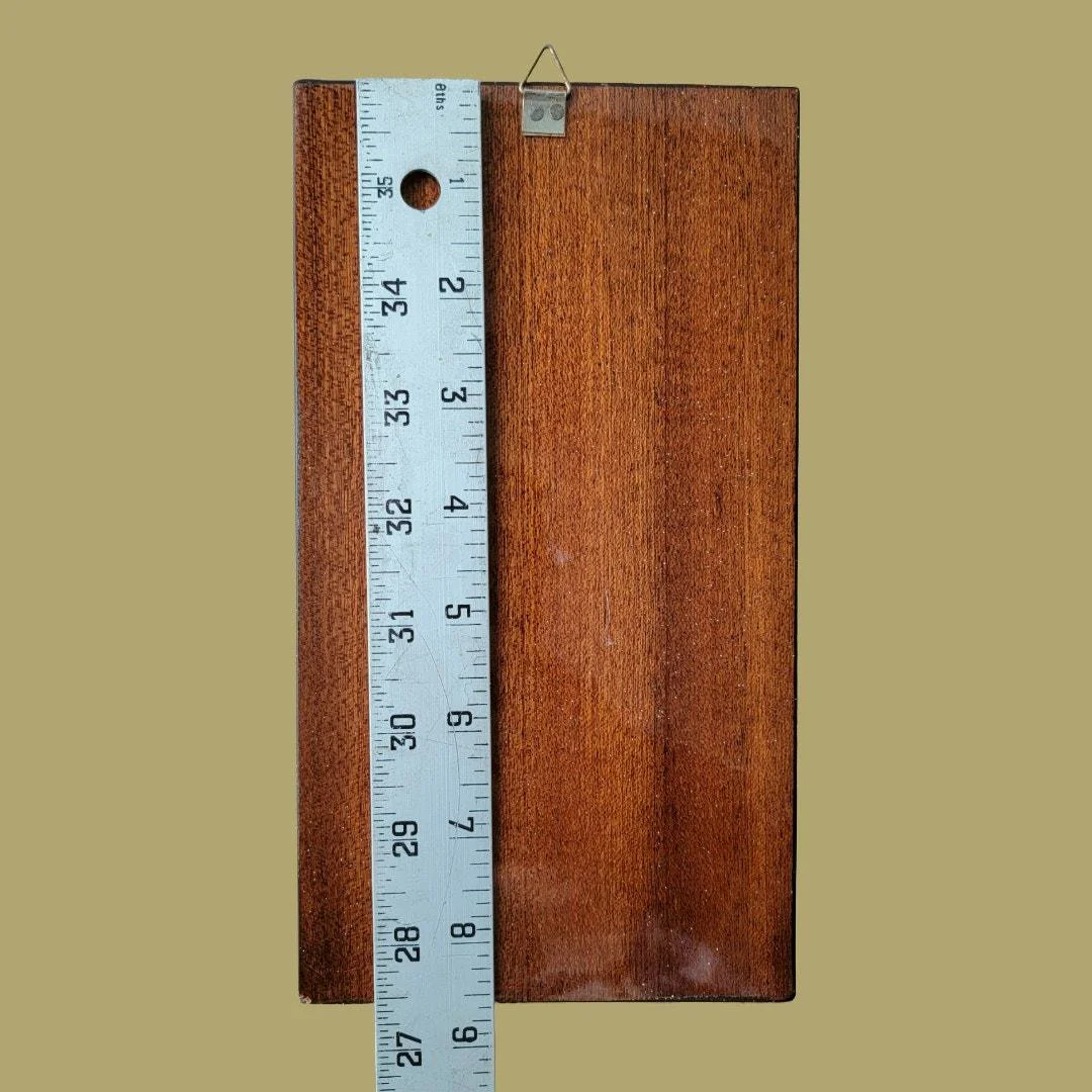 https://i.etsystatic.com/6972438/r/il/c01907/7071505953/il_fullxfull.7071505953_7oo8.jpg