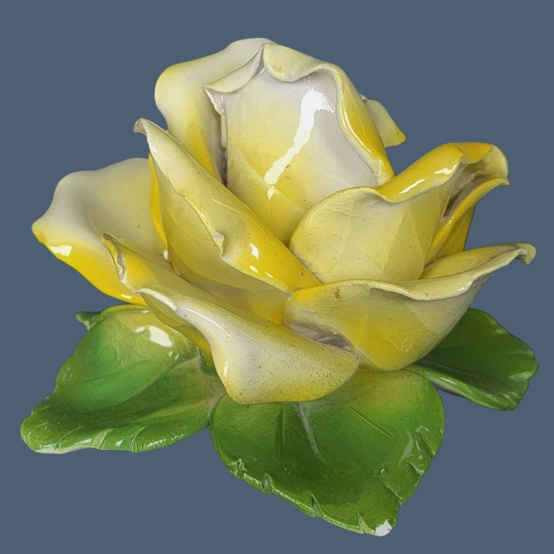 https://i.etsystatic.com/6972438/r/il/db5e96/7119756302/il_fullxfull.7119756302_27my.jpg